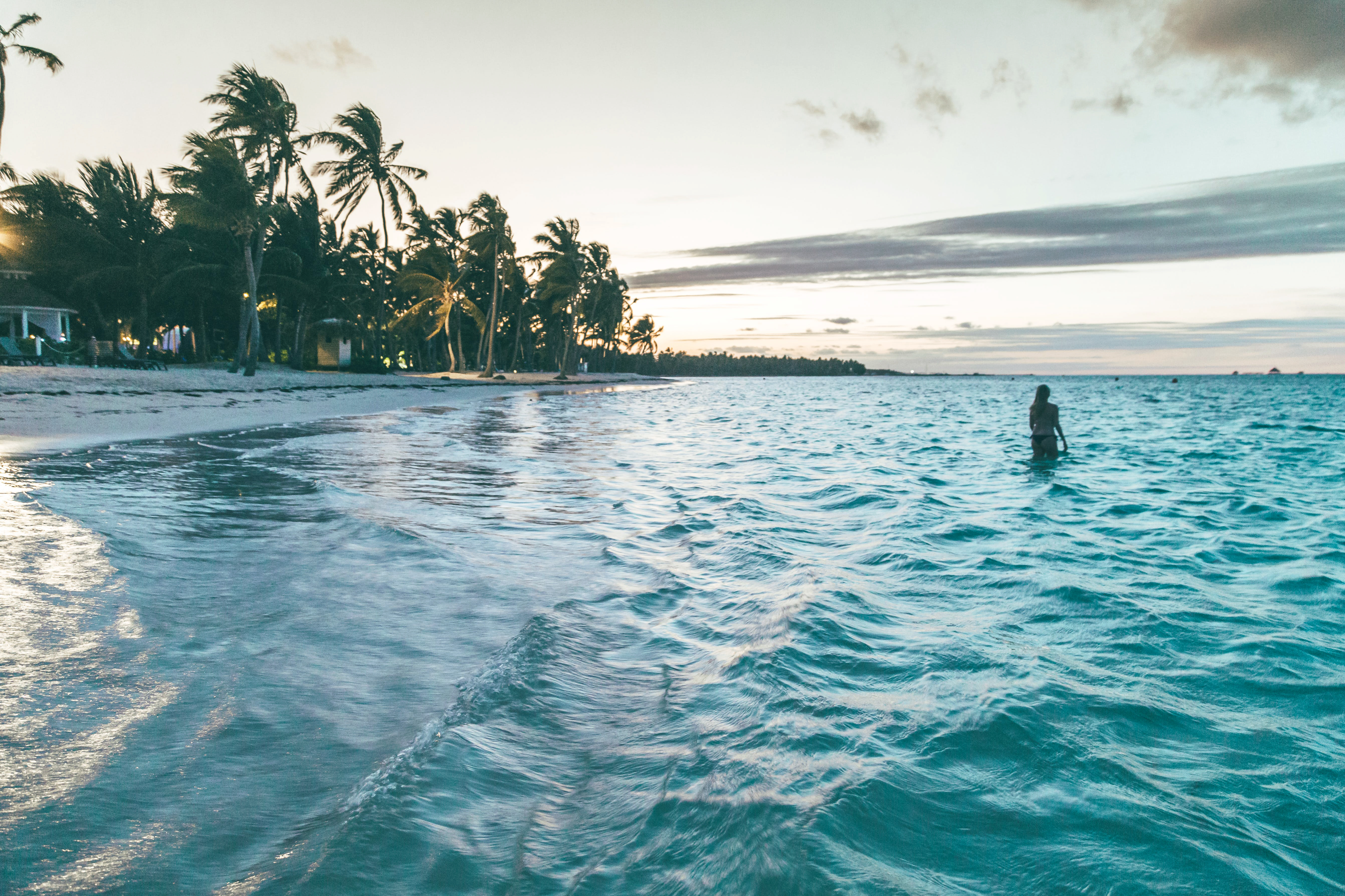 Atardecer entre palmeras junto al mar